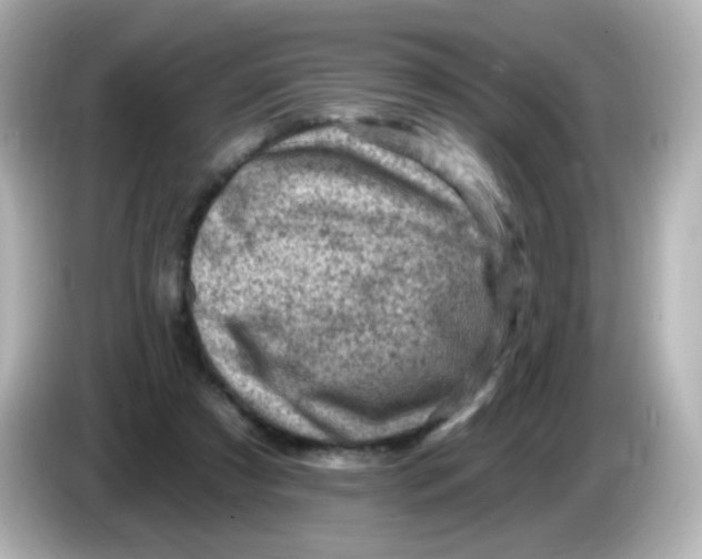 X0000085800305200704091453