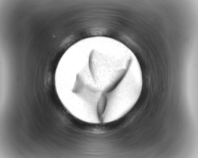 X0000085800308200704091453