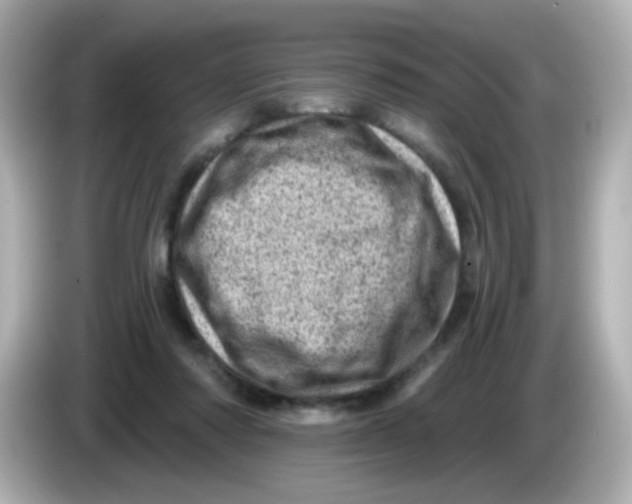 X0000085800310200704091453