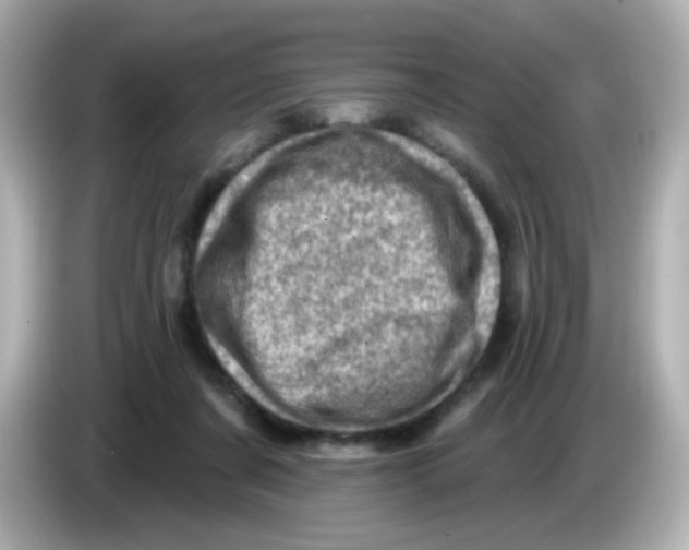 X0000085800311200704091453