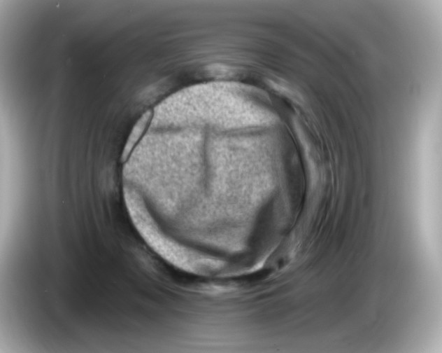 X0000085800317200704091453