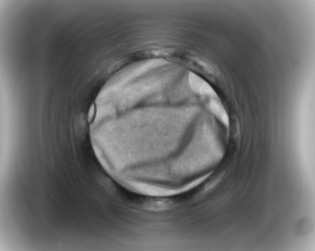 X0000085800321200704091453