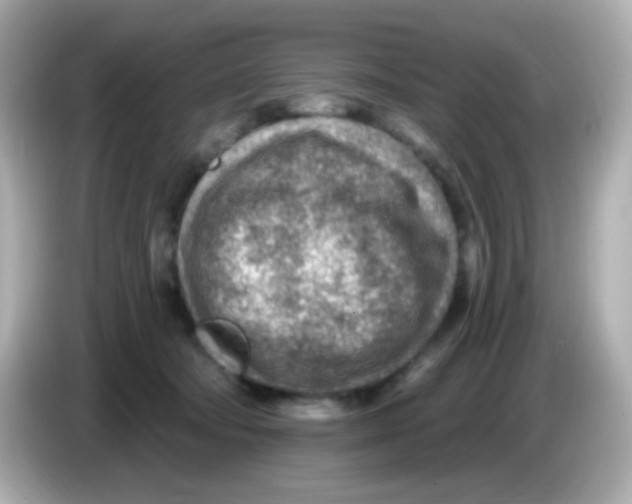 X0000085800322200704091453