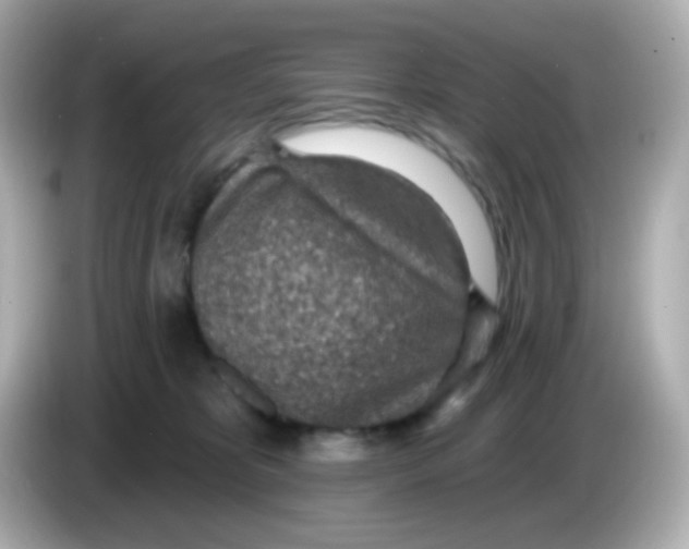 X0000085800325200704091453