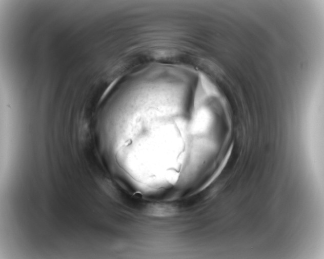 X0000085800327200704091453