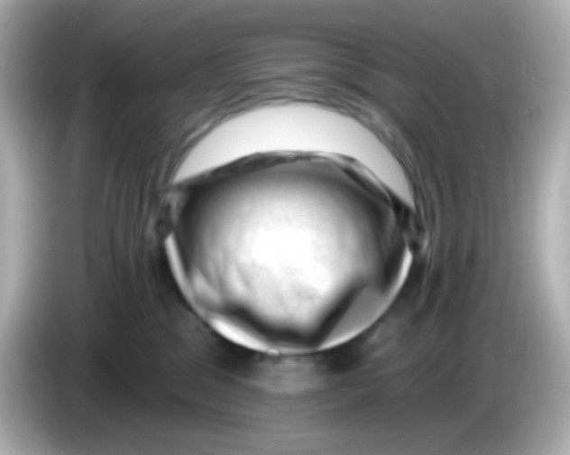 X0000085800329200704091453