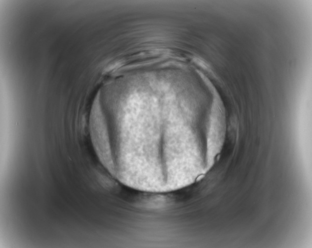 X0000085800330200704091453