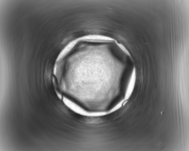 X0000085800334200704091453