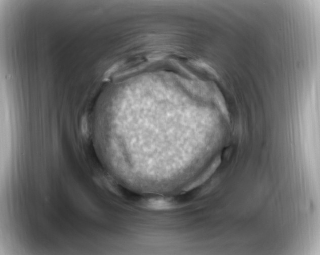 X0000085800335200704091453