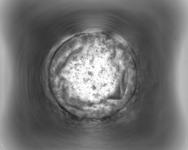 X0000085800337200704091452