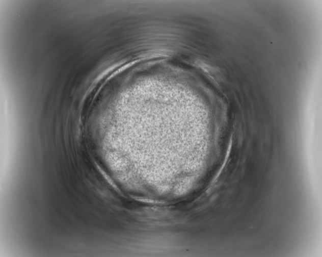 X0000085800338200704091452