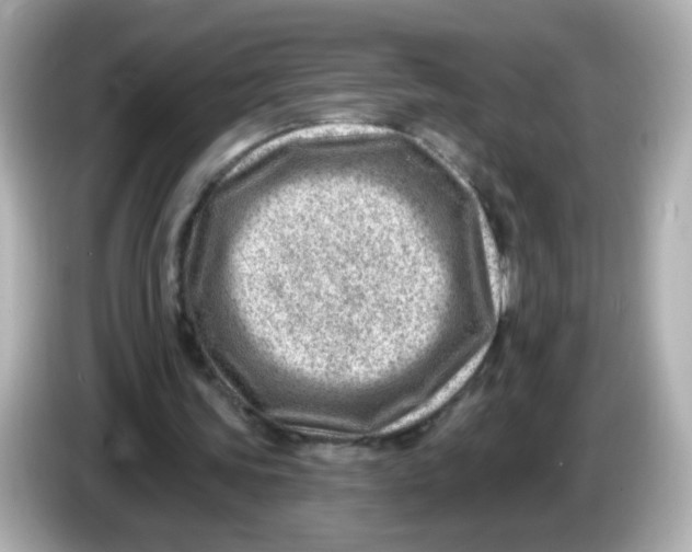 X0000085800339200704091452