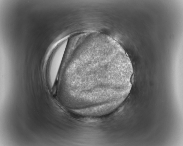 X0000085800343200704091453