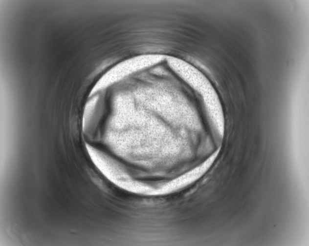 X0000085800345200704091453