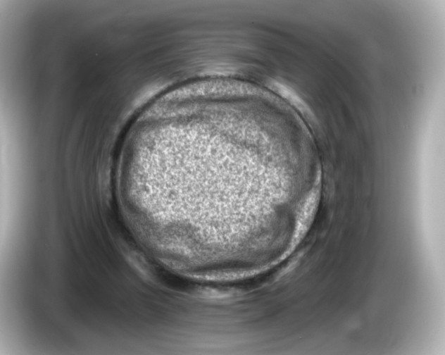 X0000085800346200704091453