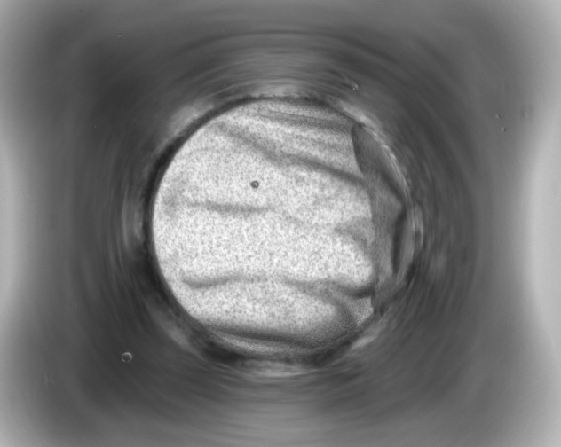 X0000085800347200704091453