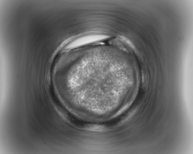 X0000085800348200704091453