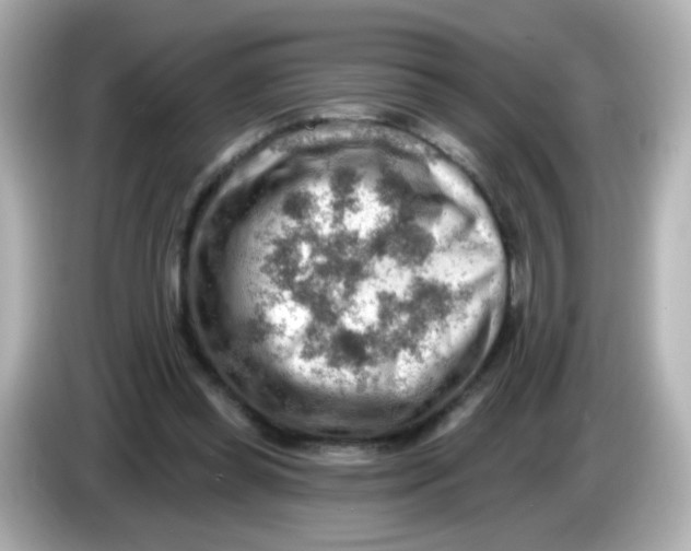 X0000085800349200704091453