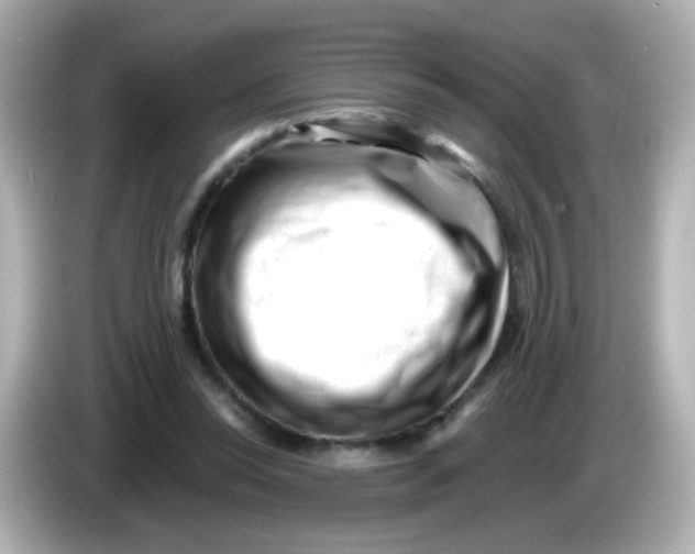 X0000085800350200704091453