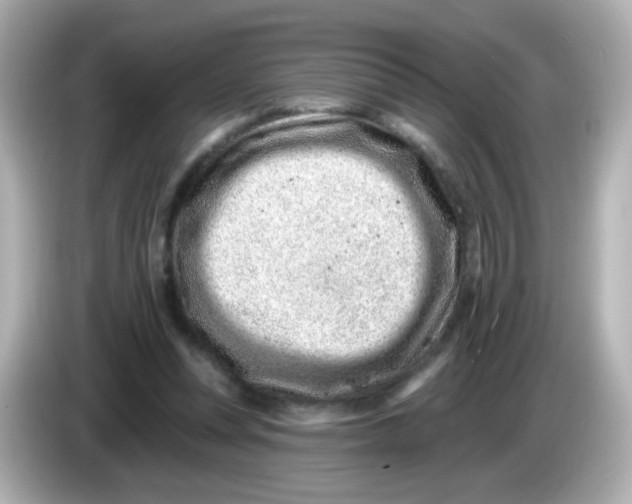 X0000085800351200704091453