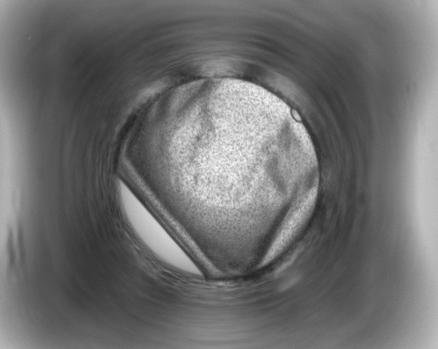 X0000085800353200704091453