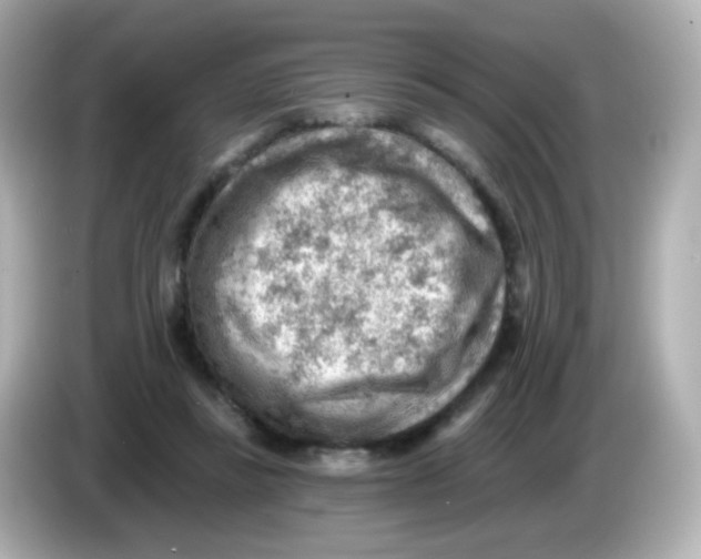 X0000085800355200704091453