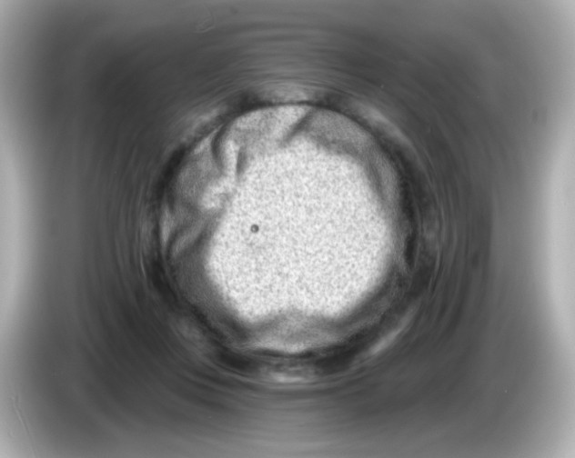 X0000085800359200704091453