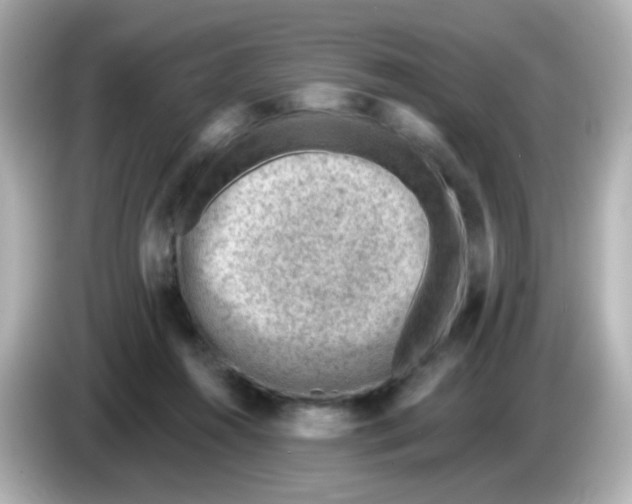 X0000085800360200704091453