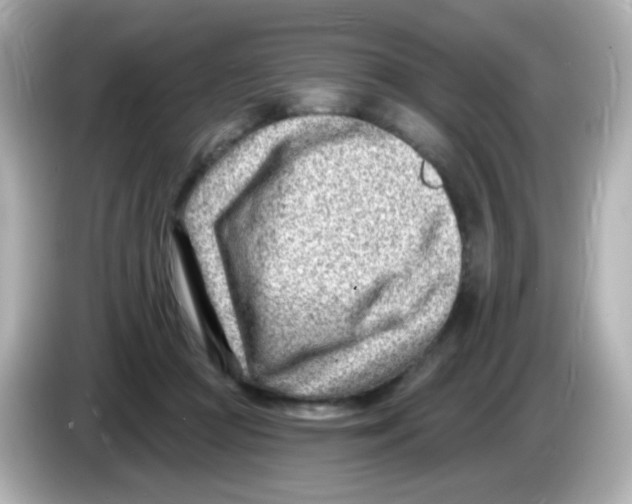 X0000085800361200704091453