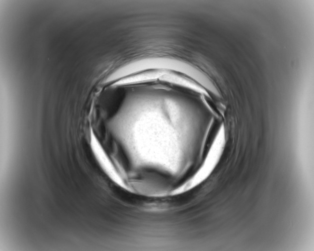 X0000085800362200704091453