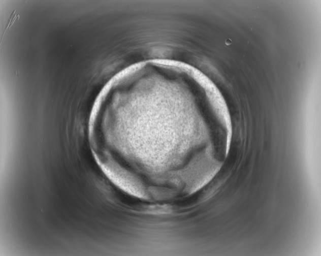 X0000085800363200704091453