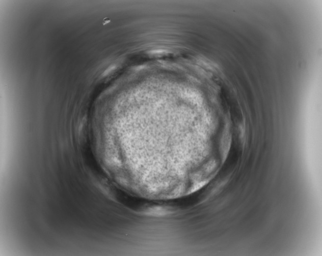 X0000085800364200704091453