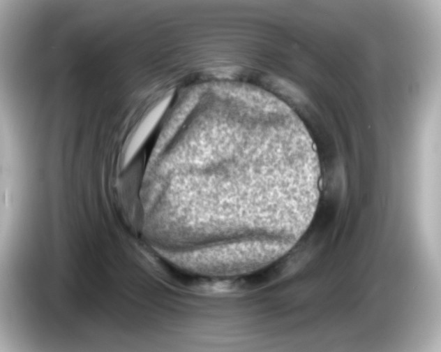 X0000085800365200704091453