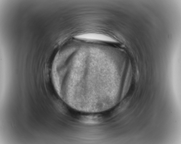 X0000085800366200704091453