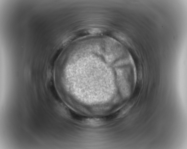 X0000085800367200704091453