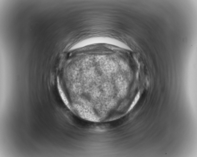 X0000085800368200704091453