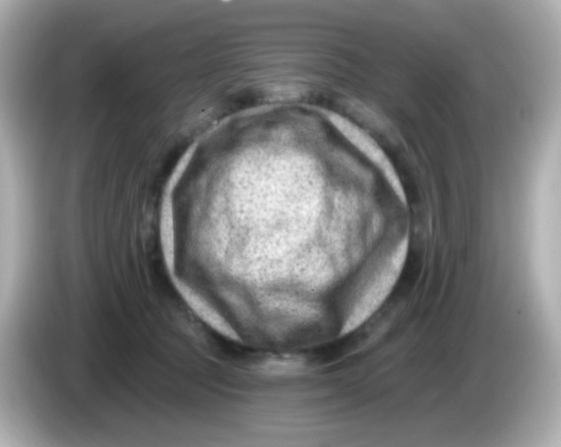 X0000085800369200704091453