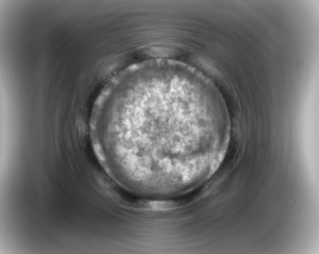 X0000085800371200704091453