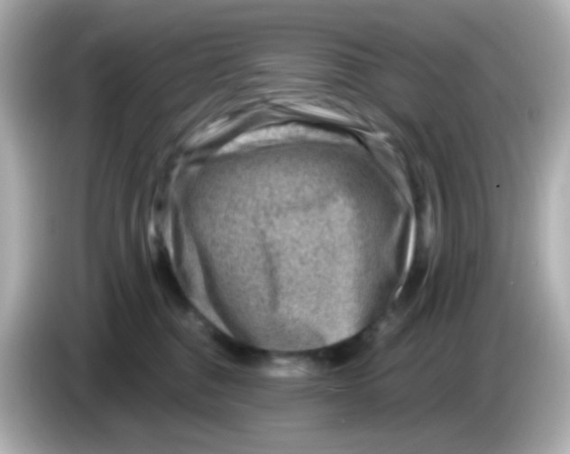 X0000085800376200704091453