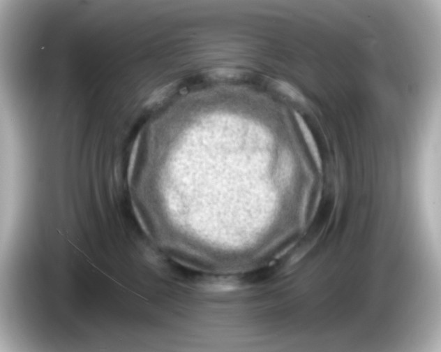 X0000085800377200704091453