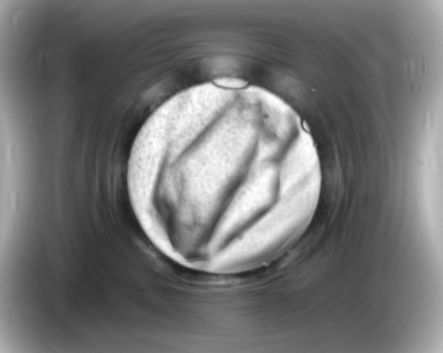 X0000085800379200704091453