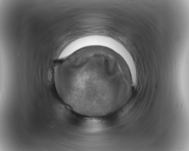 X0000085800380200704091453