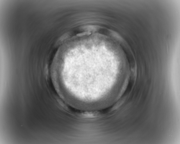 X0000085800381200704091453