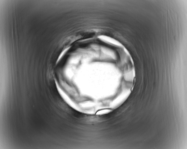 X0000085800384200704091453