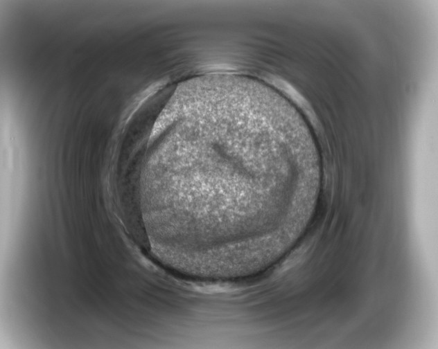 X0000085800385200704091452