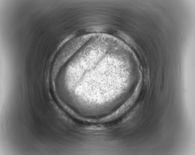 X0000085800386200704091452