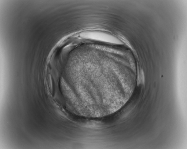 X0000085800387200704091452