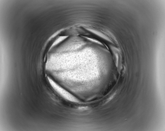 X0000085800388200704091452