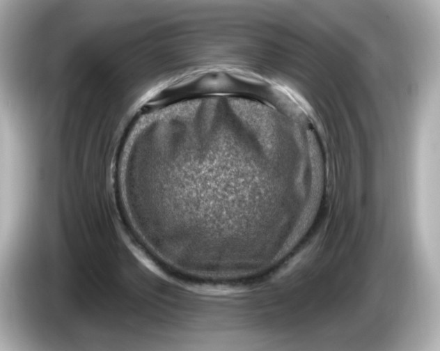 X0000085800389200704091452