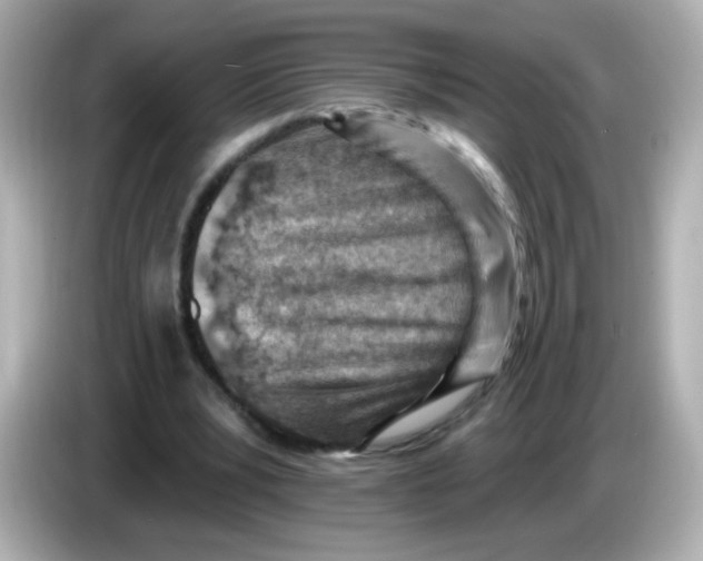 X0000085800391200704091452